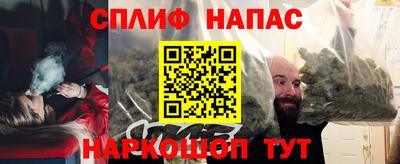 СК Ставрополь