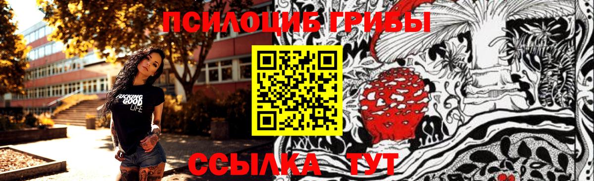 Галлюциногенные грибы Cubensis Кореновск