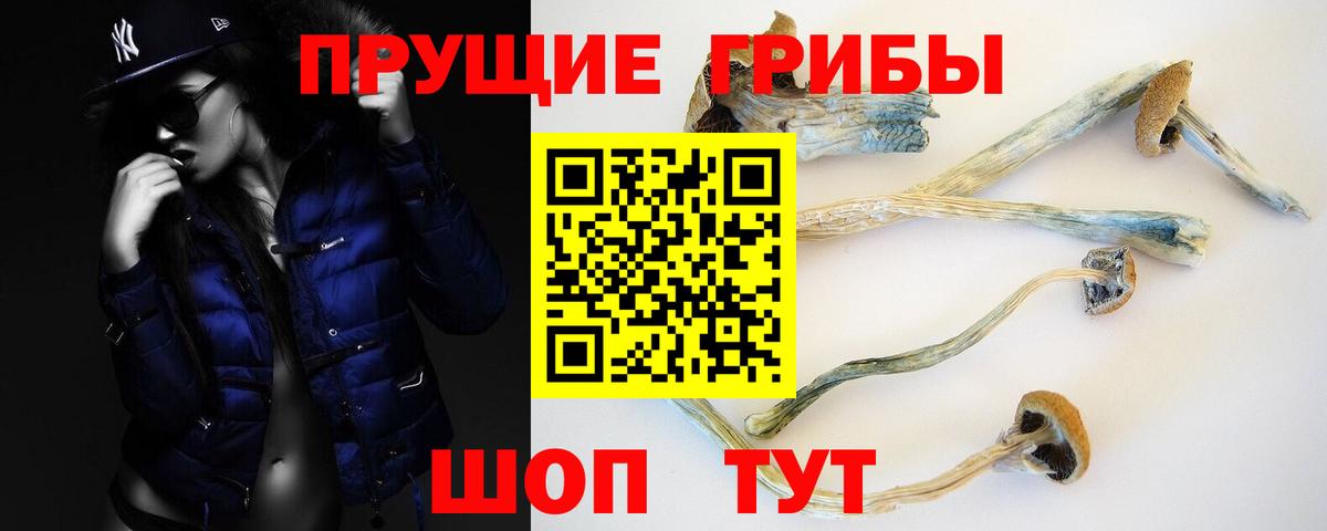 Кореновск  Псилоцибиновые грибы ЛСД  Псилоцибиновые грибы Psilocybe  Вход с VPN 